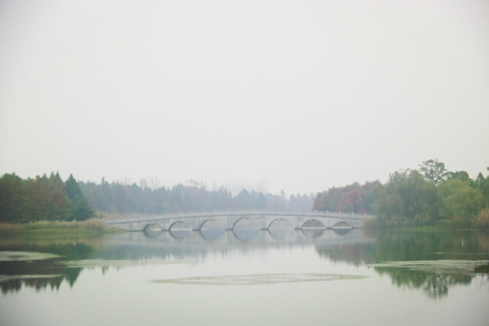 IMG_0635_meitu_2